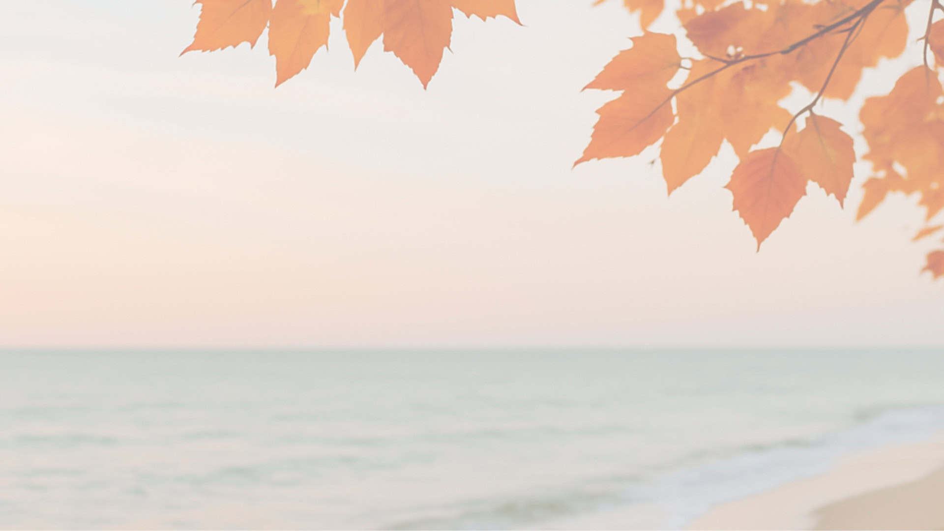 Beach scene with autumn leaves above and soft waves below, overlaid with the message 'Don’t Let Summer’s End Disrupt Patient Care,' representing the importance of consistent communication, Remote Patient Monitoring, and Chronic Care Management during seasonal transitions.
