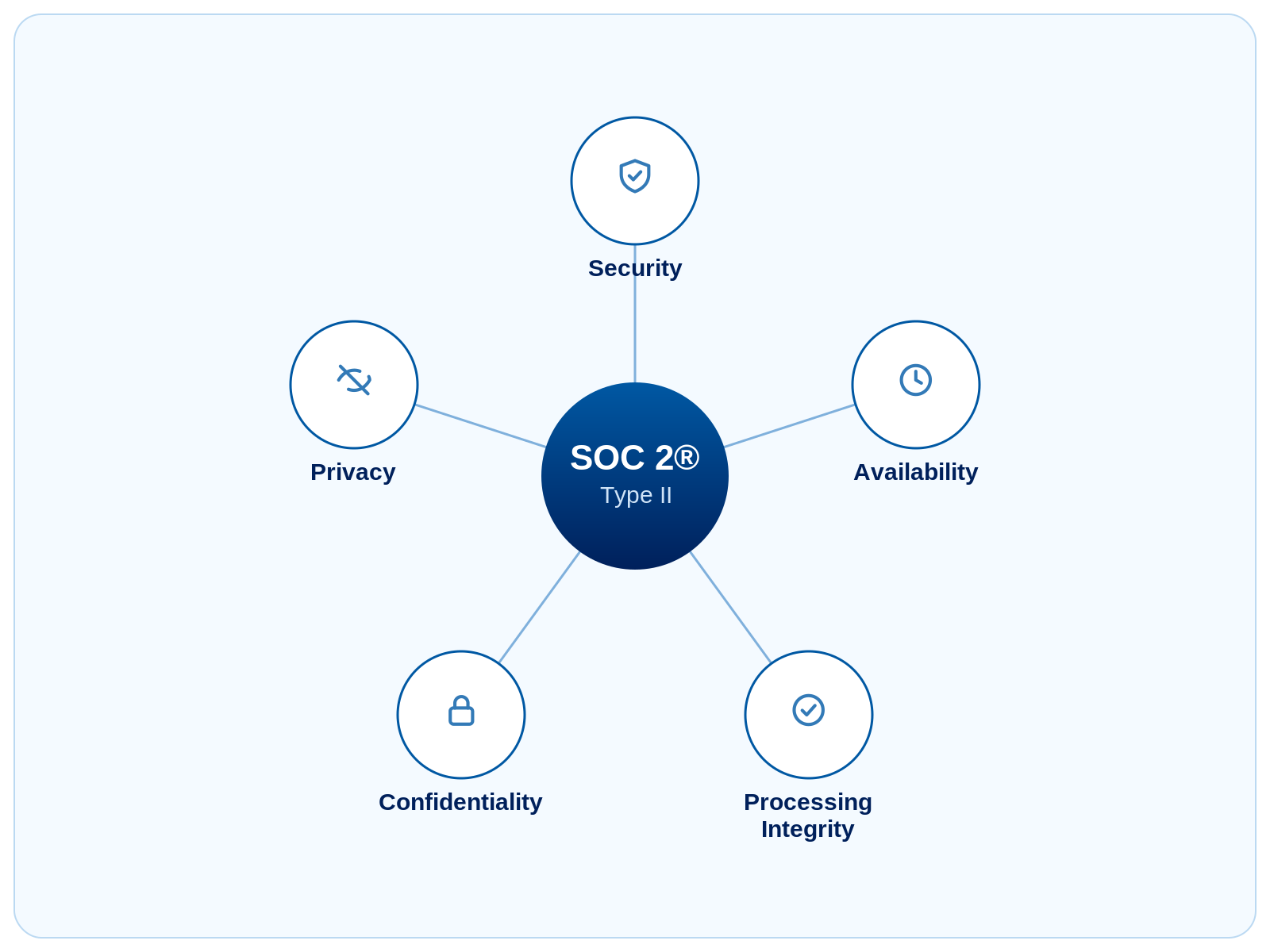 The five Trust Services Criteria examined in the Vivo Care SOC 2 Type II report